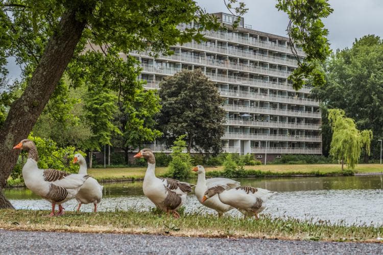 Is het verhuren van een appartement in een VvE toegestaan?