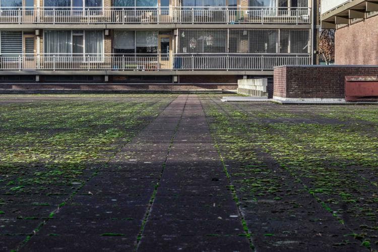 Subsidie voor het vergroenen van VvE-daken