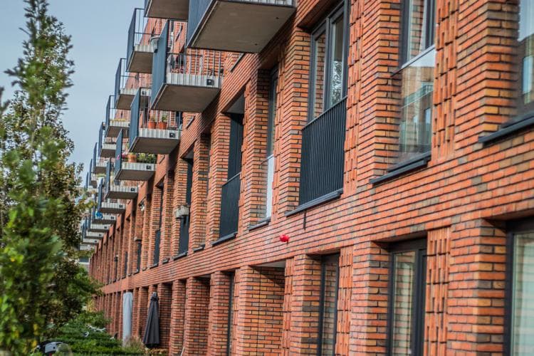 Wat doet de voorzitter van de VvE?